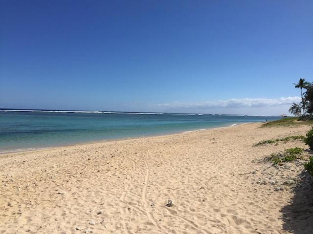 Villa 'Côté Sable' proche plage et lagon La Saline Le Bains Esterno foto